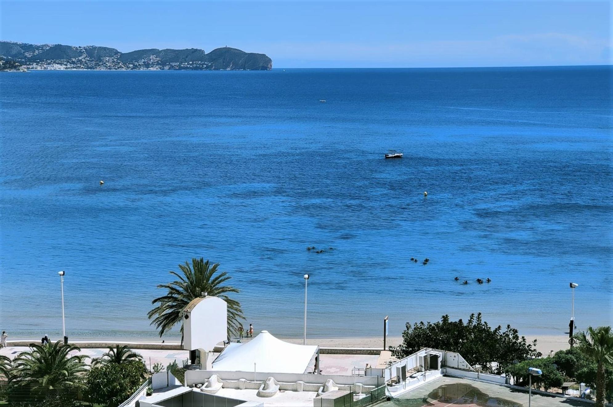 Precioso Estudio Primera Linea Fossa-Puerto Calpe Zewnętrze zdjęcie